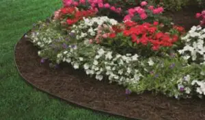 how to install no dig landscape edging