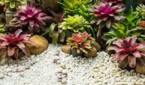 how to prepare for rock landscaping