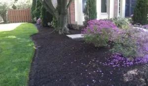 sweet peet mulch pros and cons