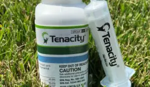 Tenacity Herbicide Review