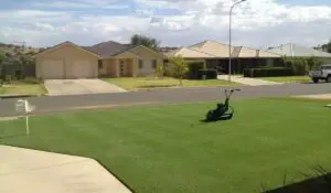 mowing buffalo grass lawn