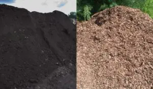 topsoil vs mulch