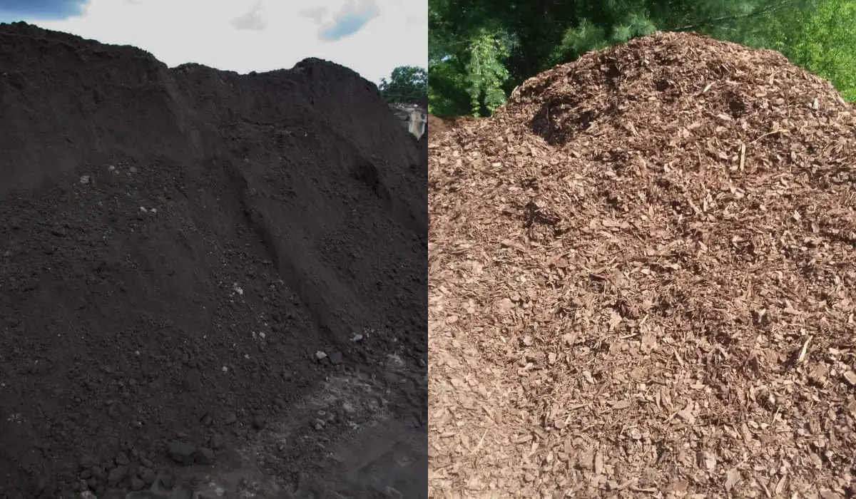 Key Differences Between Topsoil vs Mulch vs Compost