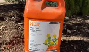 hdx weed and grass killer