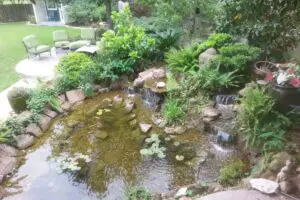 landscape ideas for texas front yard