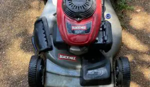 who makes black max lawn mowers