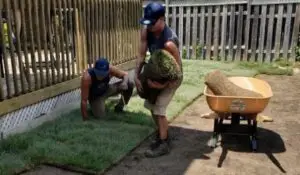 grass sod Lowes